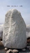 泰山石12_重庆星琳景观石材有限公司