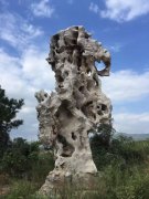 太湖石4_重庆星琳景观石材有限公司