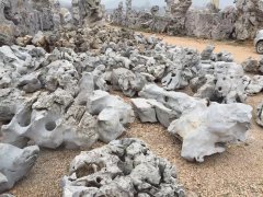 太湖石6_重庆星琳景观石材有限公司