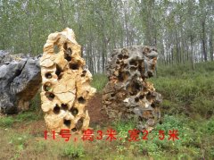 太湖石14_重庆星琳景观石材有限公司