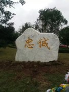 成功案例6_重庆星琳景观石材有限公司