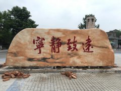 成功案例10_重庆星琳景观石材有限公司