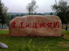 成功案例17_重庆星琳景观石材有限公司