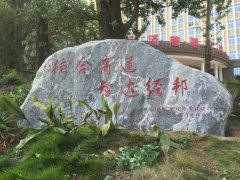 成功案例28_重庆星琳景观石材有限公司